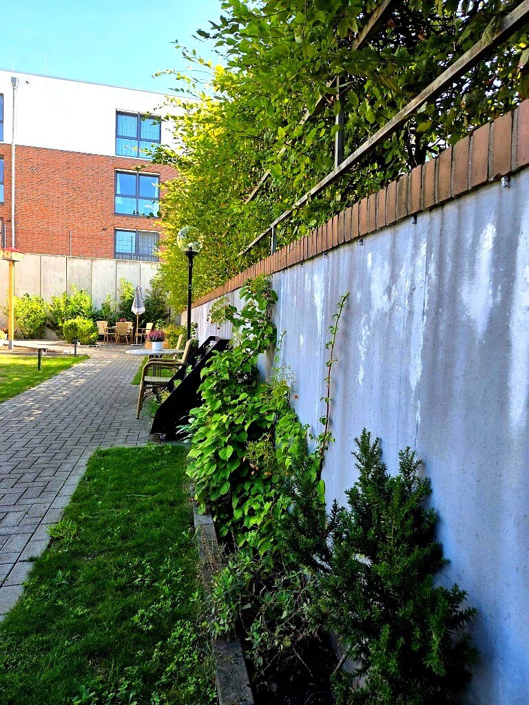 Gepflegter Gartenweg mit sicherem Handlauf und blühender Randbepflanzung im Seniorenpark